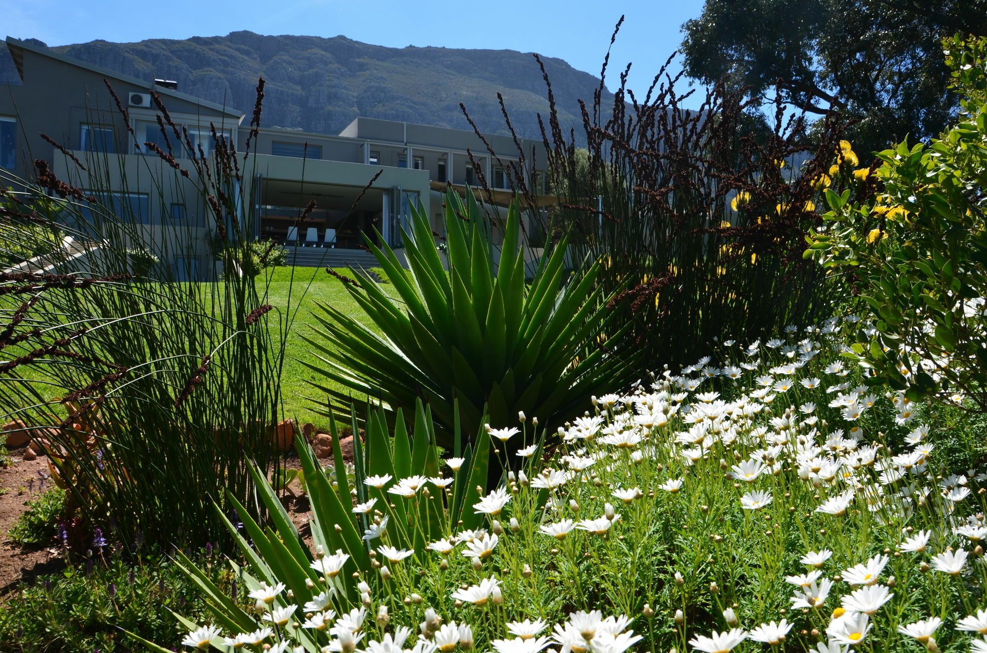 Pure Guest House Hout Bay Exterior photo